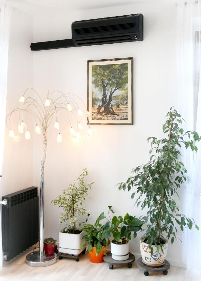 Divia Apartment Rijeka Luaran gambar